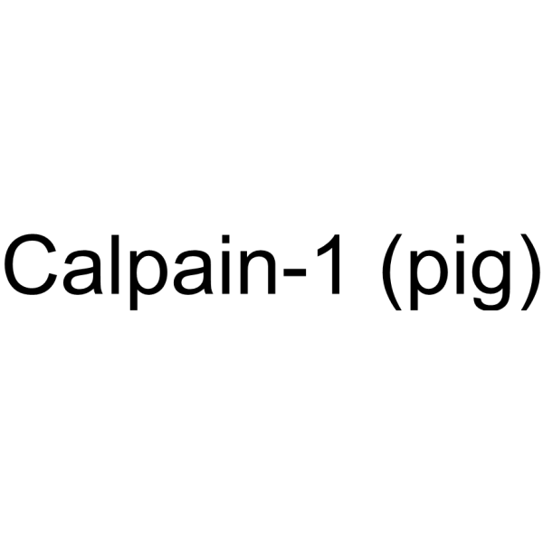 Calpain-1 (pig) (μ-Calpain) 689772-75-6